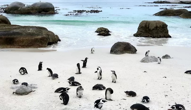 Study in South Africa